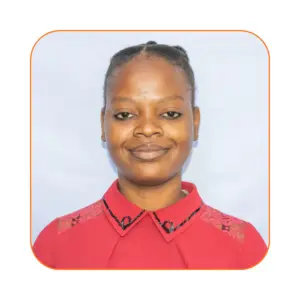 Professeur de violon