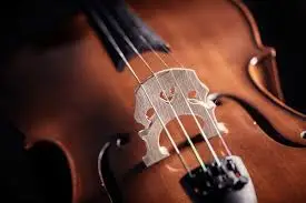Violon